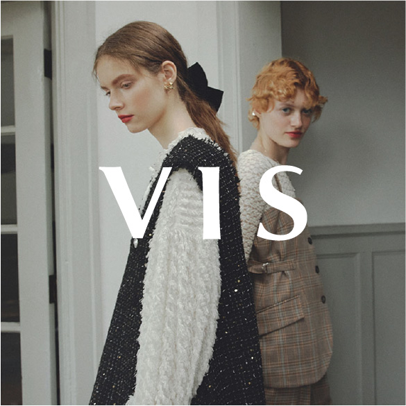 VIS(ビス)