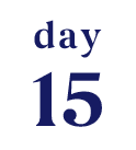 day15