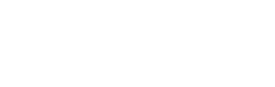 prince VIS special collection